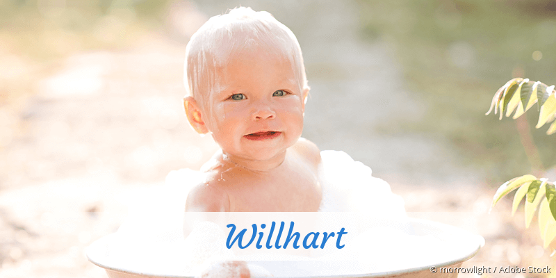 Baby mit Namen Willhart