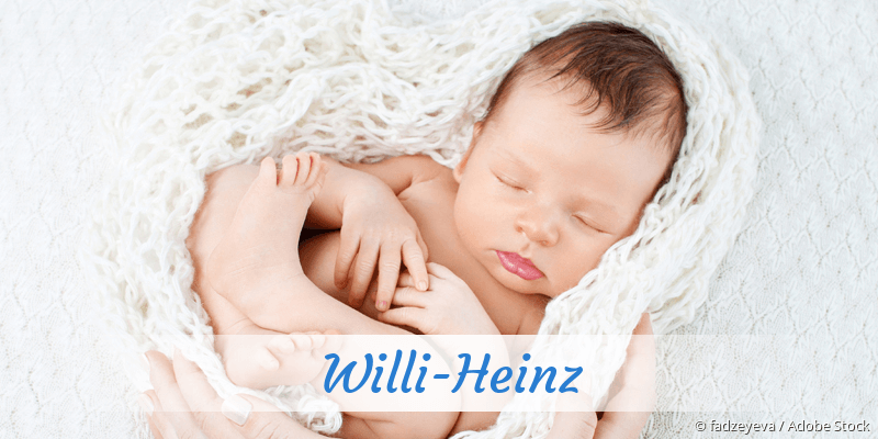 Baby mit Namen Willi-Heinz