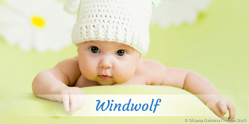 Baby mit Namen Windwolf