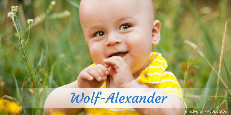 Baby mit Namen Wolf-Alexander