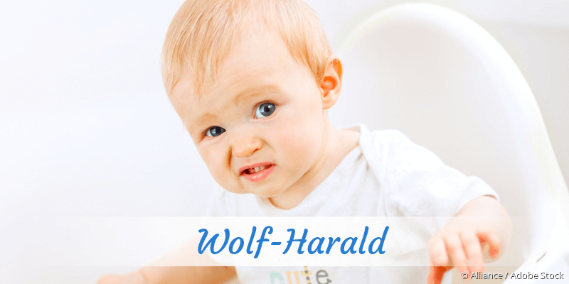 Baby mit Namen Wolf-Harald