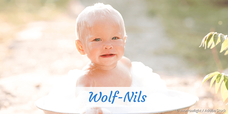 Baby mit Namen Wolf-Nils
