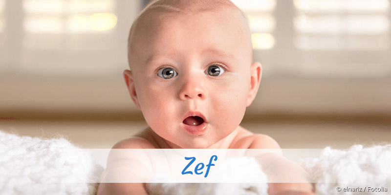 Baby mit Namen Zef